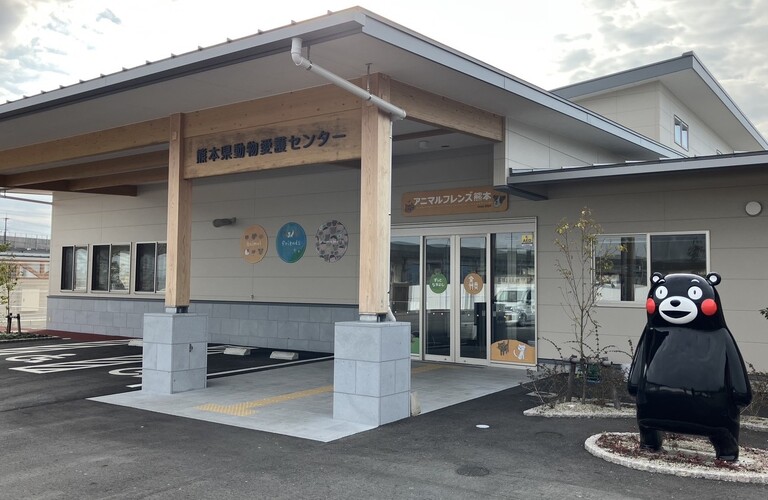 動物愛護センターでの保護猫の譲渡を推奨｜熊本市のネコ可物件専門店ネコ不動産