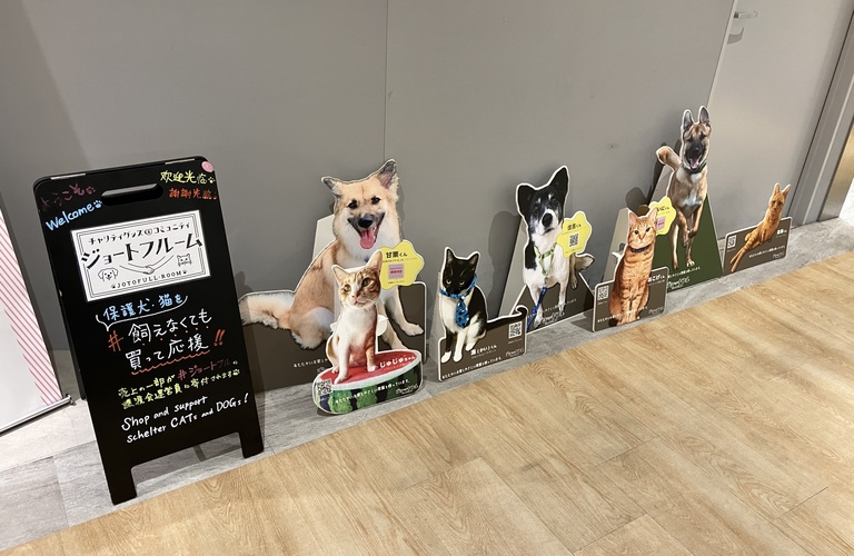 保護猫の譲渡活動を応援｜熊本市のネコ可物件専門店ネコ不動産