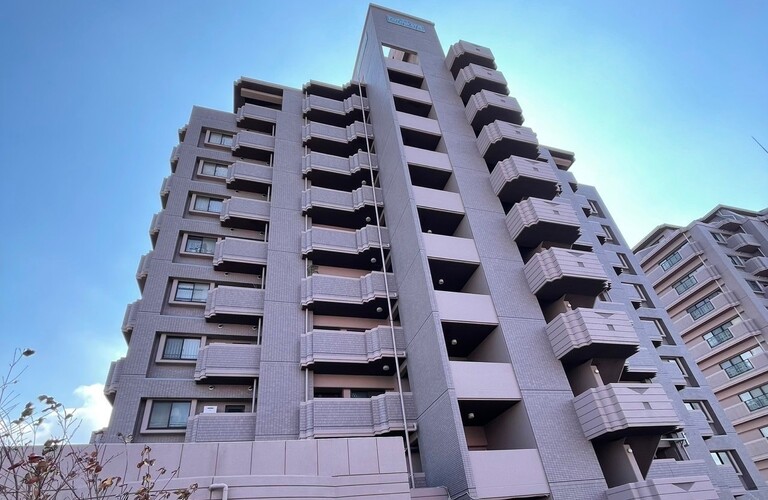 ネコ多頭飼い可能な南区のリノベマンションなら｜熊本市のネコ可物件専門店ネコ不動産