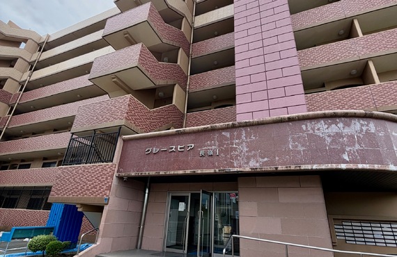 東区神園のネコ３匹と暮らせるリノベマンションをご紹介｜ネコ可物件専門店ネコ不動産